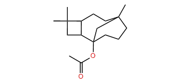 alpha-Caryophyllene acetate